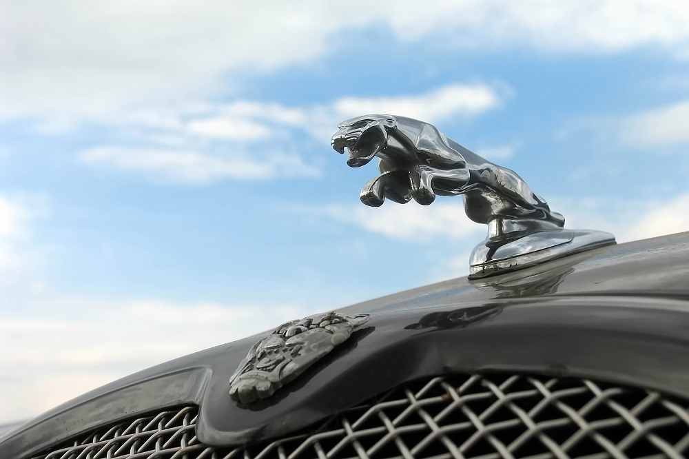 Jaguar Hood Ornament